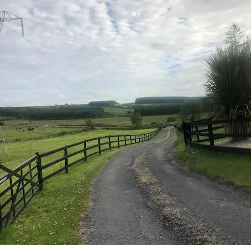 Lejlighed Cheerful 3 Bedroom Country Ennis